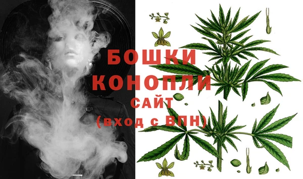 PSILOCYBIN Алексеевка