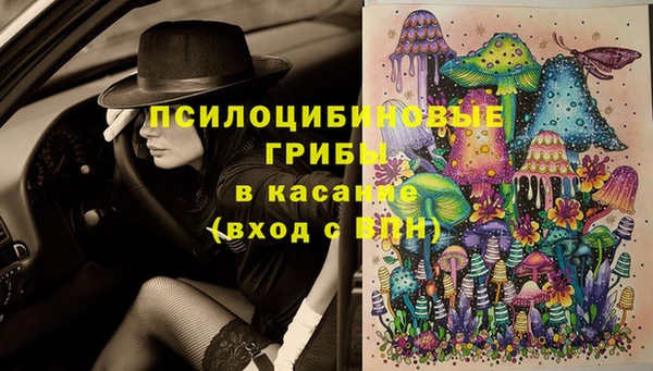 PSILOCYBIN Алексеевка