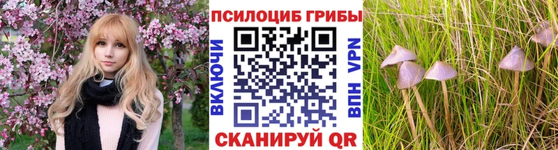 МЕГА ссылки  Обнинск  Псилоцибиновые грибы GOLDEN TEACHER 